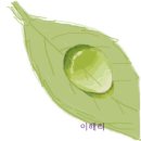 옥동공인중개사사무소 이미지