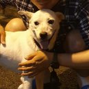 매일건재사
