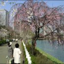 석촌호수로 이미지