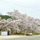 포키즈풀빌라B 이미지