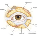 케이뷰티성형외과의원 이미지