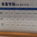 양주 온 동물병원 이미지