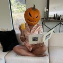 노다지 티스토리