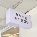 헤이도그 이미지