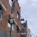 홈우드광안리 | 부산 광안리 애견동반 느좋카페 노즈홈 내돈내산 솔직후기