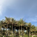 아남세탁 | 3박 5일 여행 (2) | 더 아남 나트랑 리조트 조식 요가...CCCP 커피 | 담시장 후기 | LIVIN | 나트랑 맛집