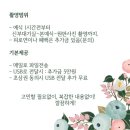 이피스튜디오