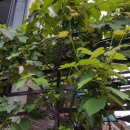 서림동주민센터 이미지