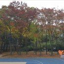 신동근린공원 쪽 이미지