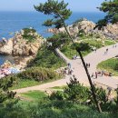 대왕암공원 이미지