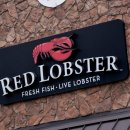 RED FORCE THE BLACK 이미지