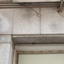 안산천동로 이미지