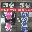 지음음악학원 Daum카페