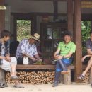 삼시세끼 이미지