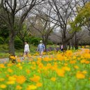 드림파크 이미지