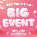 댕블리 네이버블로그