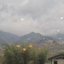 스테이휴 물.새.숲 | [하동] 하동반값여행기 #2(소담화개, 정금차밭, 숲속, 플래닛1020, 쌍계사, 불일폭포)