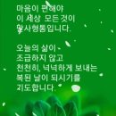 새날목장 이미지