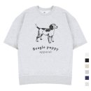 폴인퍼피 이미지