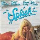 스플래쉬 이미지