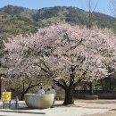 ITQ(파워포인트) 이미지