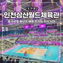 삼산월드체육관 축구장 | 흥국생명 배구단 예매 인천삼산월드체육관 주차 좌석 핑크스파이더스 직관 후기