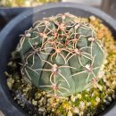 연월농장 이미지