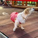 두식이펜션 이미지