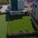 김포 애견호텔 애견유치원 꼬똥이네 이미지