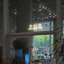 용산 도심 속 고요한 미술관 '아모레퍼시픽미술관' 관람 후기 • 예약 방법 찾아가는 법 주차 입장료 정보