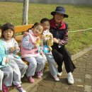 시립원종어린이집 이미지