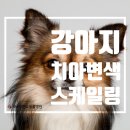 365동판교동물병원 이미지