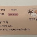 멍뭉이 살롱 이미지