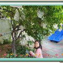 단양 새싹 어린이집 이미지