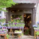 주정차42 이미지