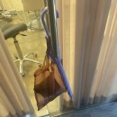 멍멍미장원 이미지