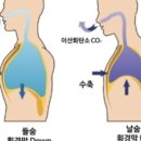 머슬팩토리 헬스 공도점 이미지