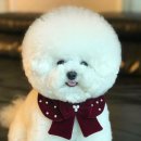 (유)영천택시 이미지