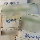 11월 일상(ft.제주여행)