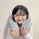 굿스 | [장거리 운전의 필수템 – 트래블굿스 여행용 목베개 차량 후기]