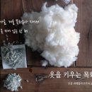 최기영농장 네이버블로그