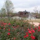 곡성-144 이미지