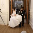 블루문(Blue Moon) | 본식 DVD(블루문 필름)