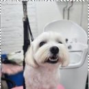 오늘도예쁘게 이미지