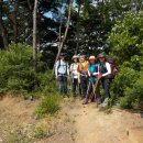 곰치농장 이미지