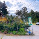 킹스통나무 이미지