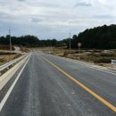 리도206호선 이미지