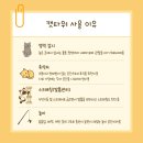 망고캣 | 고양이 캣타워 추천 :: 소형캣타워 부터 대형캣타워 까지