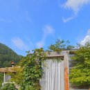 산골강남 이미지