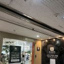 수내역 미용실, 리안헤어 커트 내돈내산 솔직후기